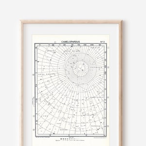 1931 Konstellationskarte Camelopardalis Astronomie Druck