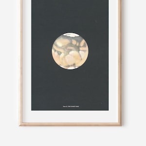 Impression d&#39;astronomie Mars 1959 vintage