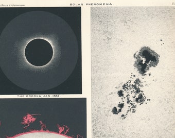 1892 Solar Phenomena, Solar Eclipse, Solar Corona, Solar Prominences or Flares, Sunspots, Antique Astronomy Print