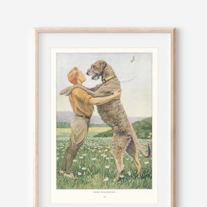 1919 Irish Wolfhound Dog Antique Illustration Print