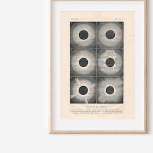 1870 Solar Eclipse Antique Astronomy Print
