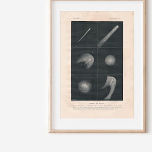 1870 Halley&#39;s Comet Antique Astronomy Print