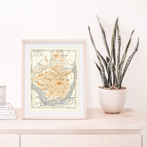 May include: A framed vintage map of Toledo, Spain, with a beige background and brown and black lines. The map is in a light wood frame and is sitting on a light wood shelf with a potted plant in front of it.