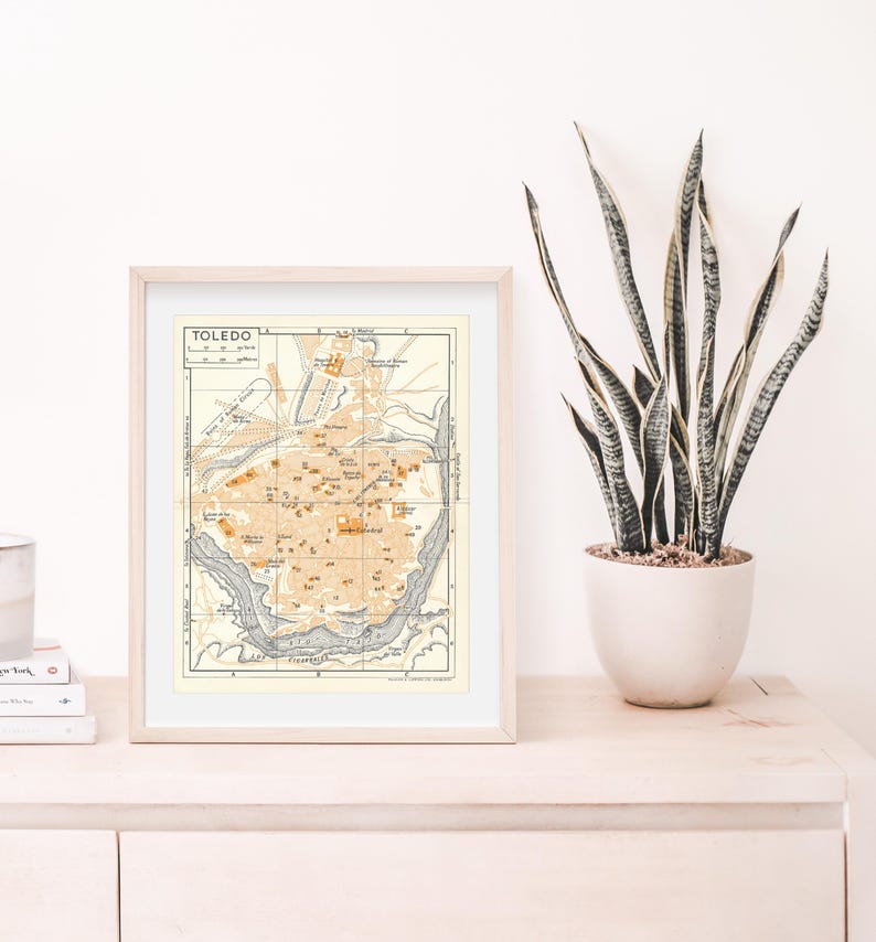 May include: A framed vintage map of Toledo, Spain, with a beige background and brown and black lines. The map is in a light wood frame and is sitting on a light wood shelf with a potted plant in front of it.