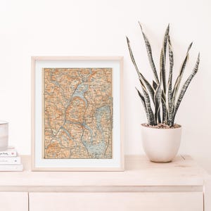 K&ouml;nnte beinhalten: Eine gerahmte Vintage-Karte einer Seenregion mit detaillierten Linien und Text. Die Karte befindet sich in einem hellen Holzrahmen und wird auf einem hellen Holzregal mit einer Topfpflanze Schlangenpflanze ausgestellt.