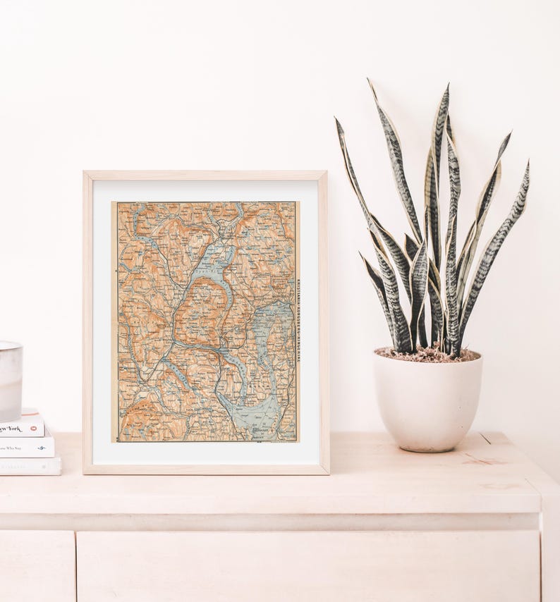 K&ouml;nnte beinhalten: Eine gerahmte Vintage-Karte einer Seenregion mit detaillierten Linien und Text. Die Karte befindet sich in einem hellen Holzrahmen und wird auf einem hellen Holzregal mit einer Topfpflanze Schlangenpflanze ausgestellt.