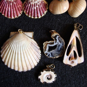 Sea Shell Jewelry, Vintage Choice