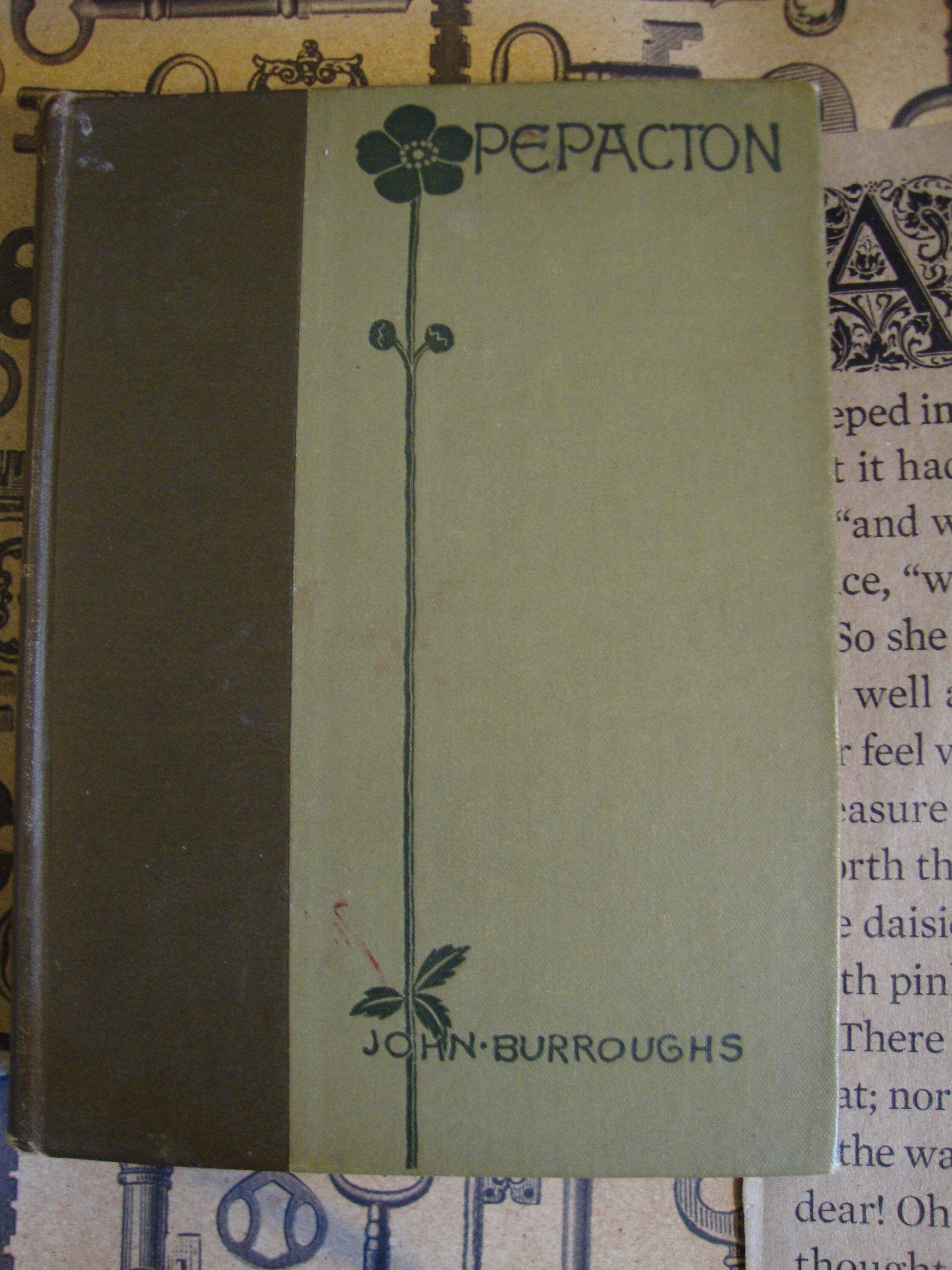 Pepacton by John Burroughs, 1895 Book
