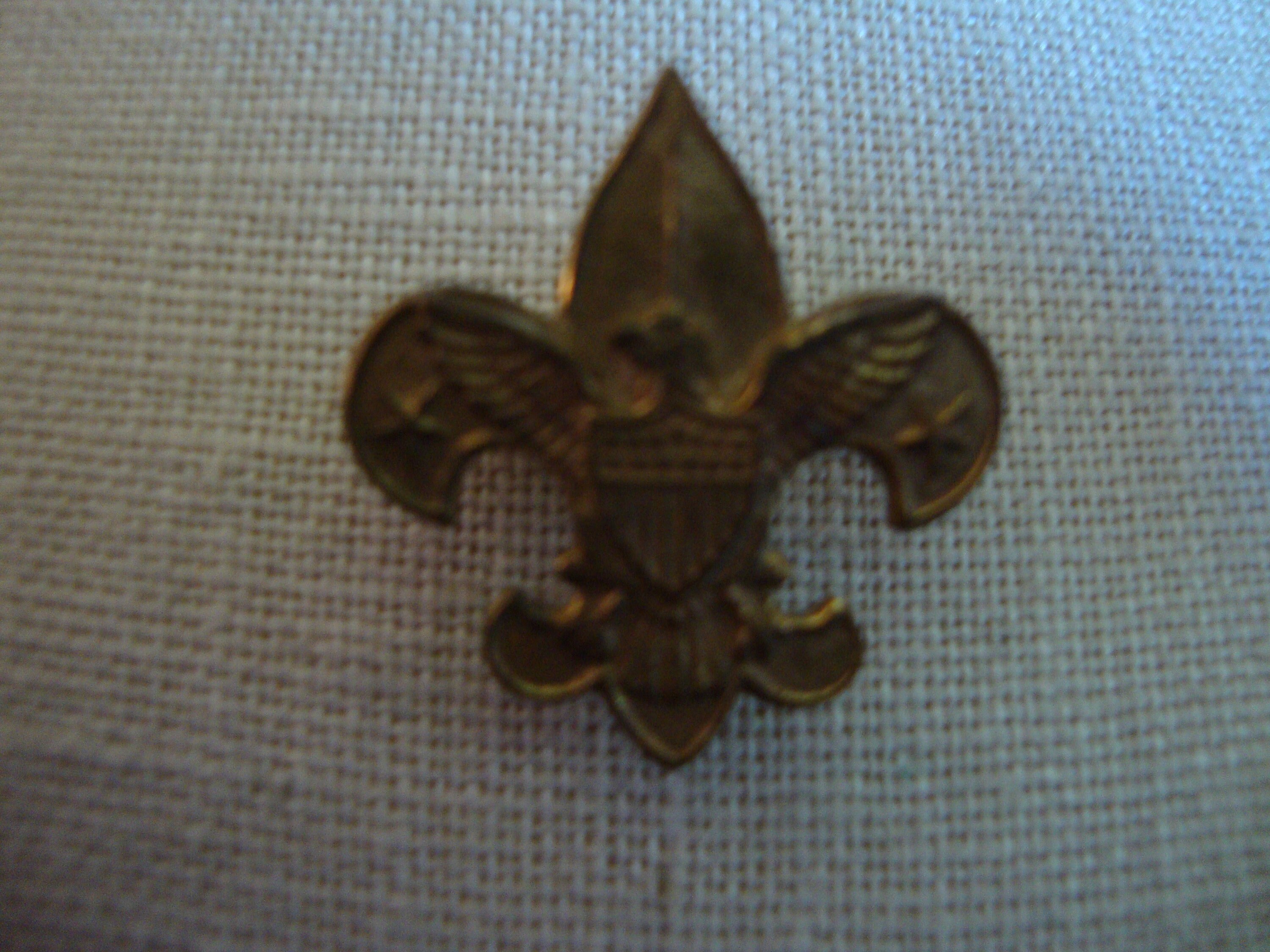 Boy Scout Pin, Vintage - Etsy