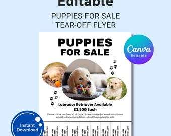 Dog Breeding Business Flyer: Editable Pet Service Marketing Template (Canva, Digital Download)
