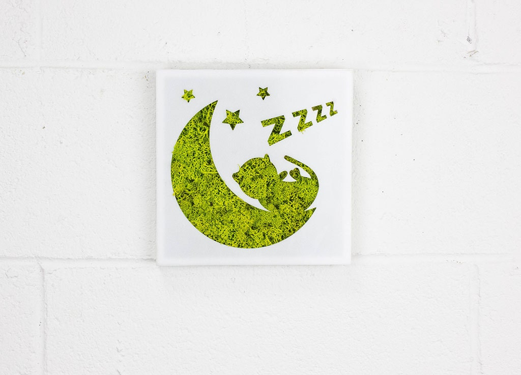 Sleepy - Jardin Vertical Wall Decor Signe Gratuit Mur Vert d'eau, Mousse Renne 8 ' X Blanc Cadre