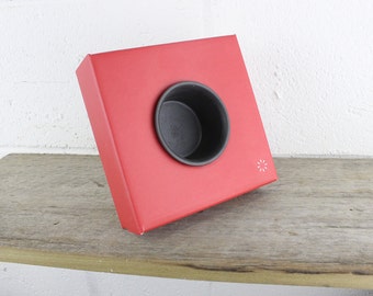 Single Cardboard Planter - Red - Wall Planter