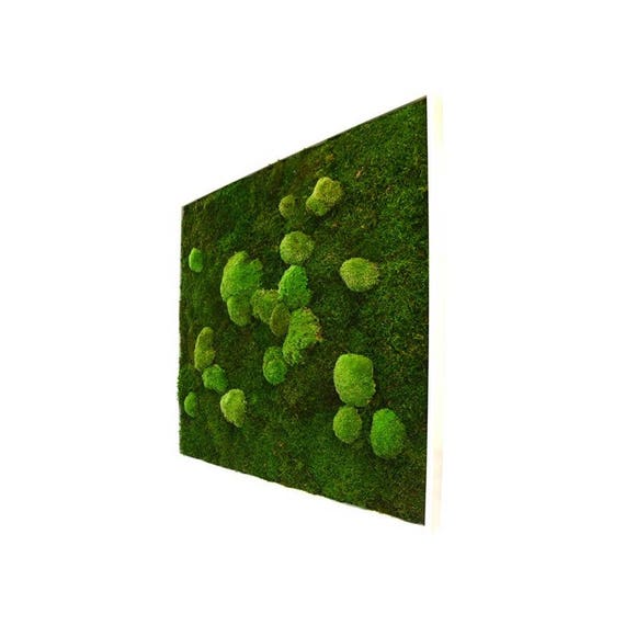Vertical Garden Bright Green Moss Wall Art