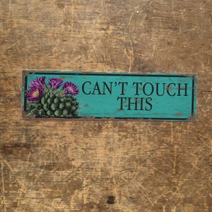 Puede incluir: Un letrero de metal azul turquesa con un cactus y flores rosas en el lado izquierdo y el texto "CAN'T TOUCH THIS" en letras negras.