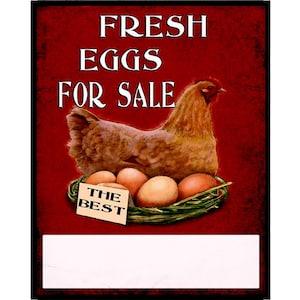 Fresh Eggs For Sale Vintage Enamel Metal TIN SIGN Wall Plaque