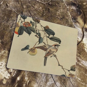 Puede incluir: Una impresión japonesa vintage en madera que representa un pequeño pájaro posado en una rama de un árbol con fruta. El pájaro es marrón y blanco con una cola larga. El árbol tiene hojas verdes y fruta naranja.