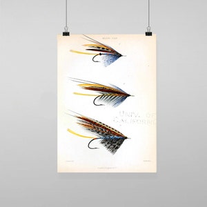 Puede incluir: Una impresión vintage con tres ilustraciones detalladas de moscas de pesca. Cada mosca tiene un anzuelo curvo y está adornada con plumas coloridas en tonos azules, marrones, amarillos y negros. El texto "BLUE-JAY" está en la parte superior.