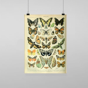 Puede incluir: Impresión vintage que presenta una ilustración detallada de varias especies de mariposas. La impresión, titulada "PAPILLONS", muestra mariposas en una gama de colores, incluyendo amarillo, naranja, negro y azul, sobre un fondo crema. La impresión está sujeta por dos clips negros.