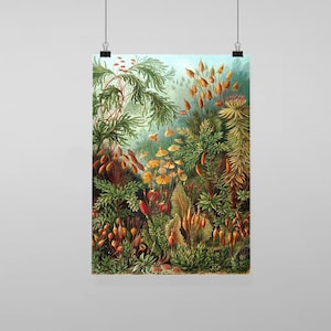Puede incluir: Una ilustración botánica vintage que presenta una variedad de plantas y flores en tonos verdes, amarillos, naranjas y rojos. La ilustración está sobre un fondo azul claro.