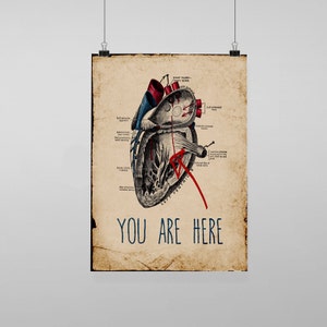 Puede incluir: Una ilustración anatómica vintage de un corazón humano con las palabras "You Are Here" impresas debajo. El corazón se representa en detalle, con varias venas y arterias etiquetadas.