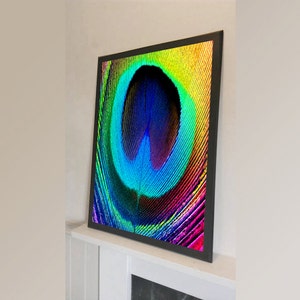 Puede incluir: Primer plano de una pluma de pavo real con colores vibrantes, incluyendo azul, verde, amarillo y morado. El ojo de la pluma está en foco, creando un patrón circular.