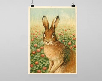 Vintage Hare - Vintage Reproduction Wall Art Decro Decor Poster Print Any size