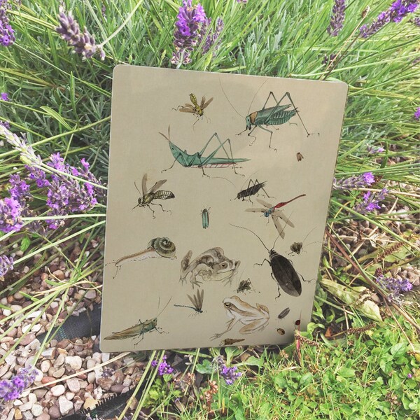 Metal Insects - Etsy