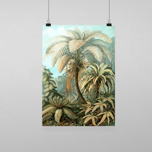 Puede incluir: Una impresión botánica vintage con una ilustración detallada de varios helechos y palmeras en un entorno tropical exuberante. La obra de arte muestra una gama de verdes, marrones y cremas, con un cielo azul claro en el fondo. La impresión está sobre un fondo blanco.