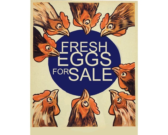 Handschrift Koning Lear Kosten Verse eieren te koop Kippen Kuikens Vintage Email Metaal TIN - Etsy België