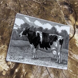 Puede incluir: Una vaca negra y blanca con una gran ubre se encuentra en un campo de hierba. La vaca está representada en una ilustración de estilo vintage.