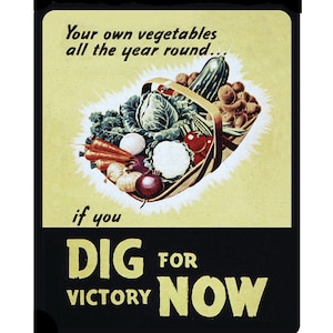 World War Propaganda Dig For Victory Now Your Own Vegetables all year round Vintage Advertising Enamel Metal TIN SIGN Wall Plaque