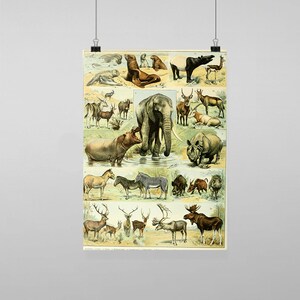 Puede incluir: Un póster educativo vintage con ilustraciones de varios animales, incluyendo un elefante, un rinoceronte, un hipopótamo, una cebra, un ciervo y un alce. El póster está impreso en papel con un fondo crema y tiene un aspecto descolorido y antiguo.