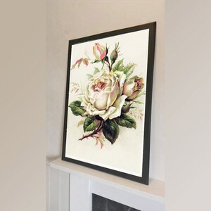 Puede incluir: Una impresión enmarcada de una ilustración vintage de una rosa blanca con acentos rosados. La rosa está rodeada de hojas y tallos verdes.
