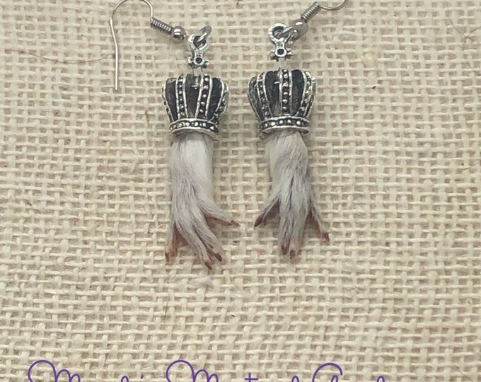 Taxidermy Guinea pig front feet Earrings made from real Guinea pigs Oddities