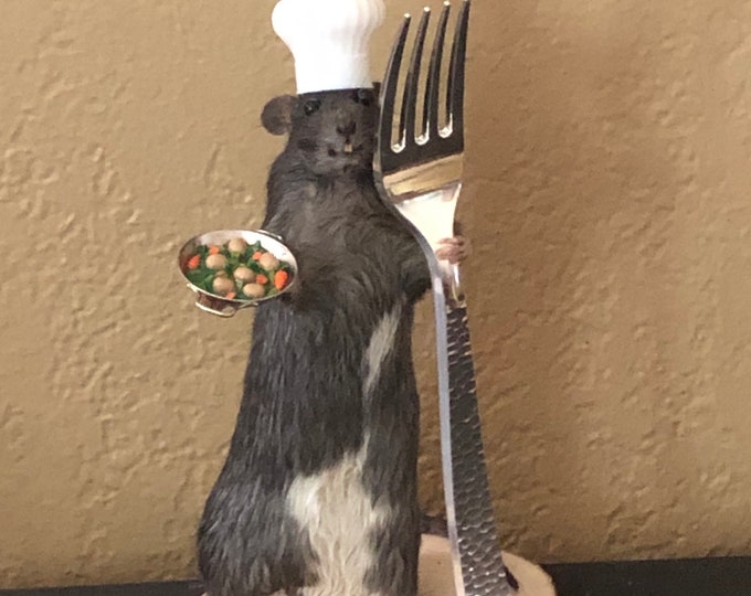 Custom rat taxidermy made to order