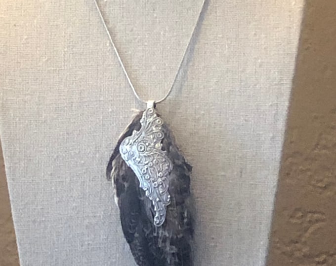 Quail wing Necklace taxidermy real bird wing
