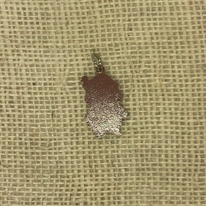 May include: A silver charm in the shape of a cartoon character. The charm is a light brown color and has a shiny finish.