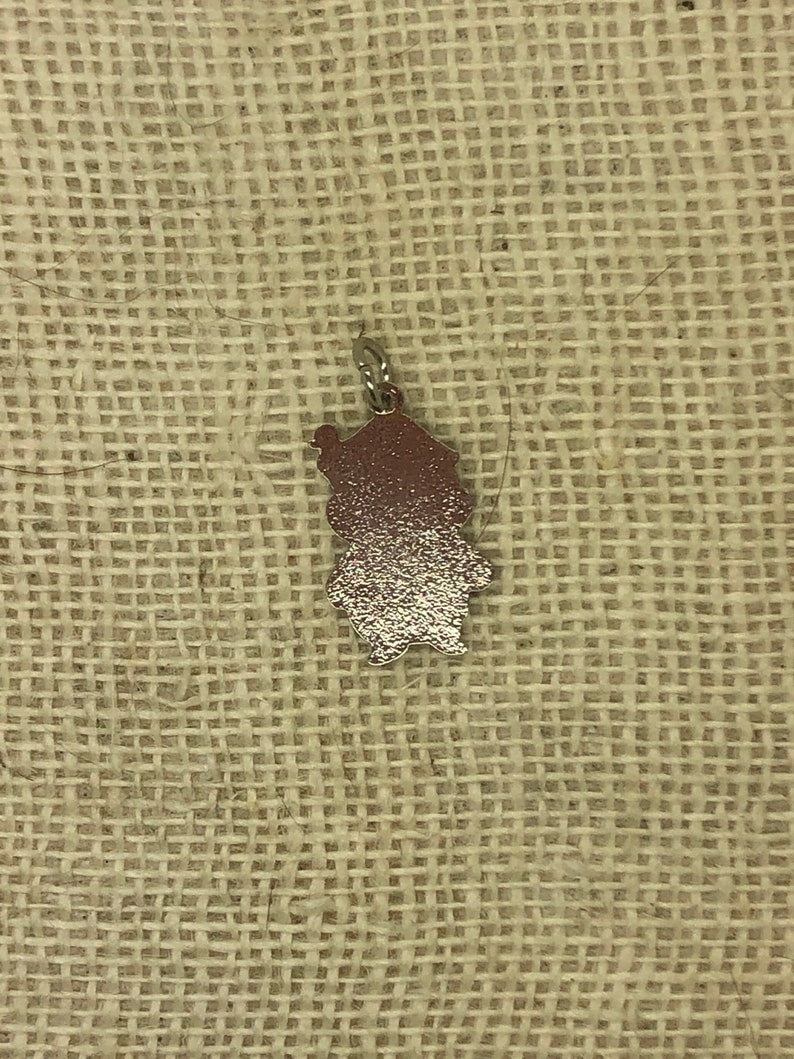 May include: A silver charm in the shape of a cartoon character. The charm is a light brown color and has a shiny finish.