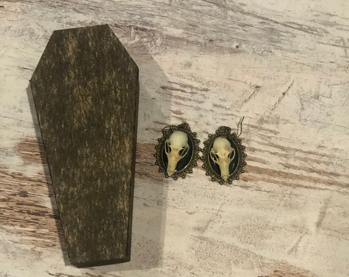 Green Taxidermy Bat Shadowbox Bat Gift Gothic Gift Gothic Decoration