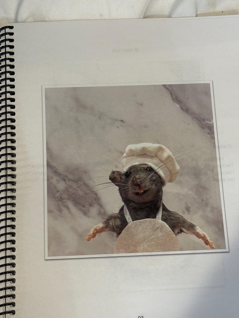 Clothes For Rats Tutorial Do It Yourself Rat Taxidermy Kit With Real Rat Skin and Sewing Pattern ...