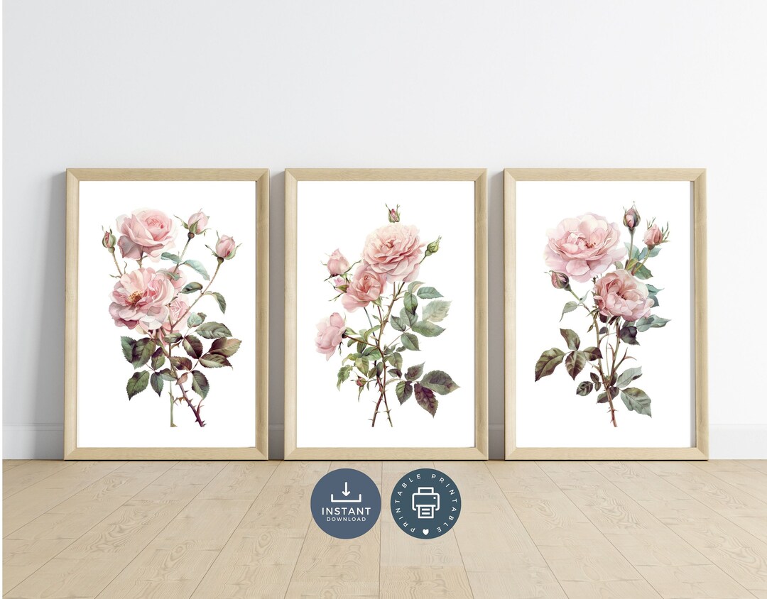 Blush Pink Rose Watercolor Print Set: Vintage Floral Wall Art (digital ...