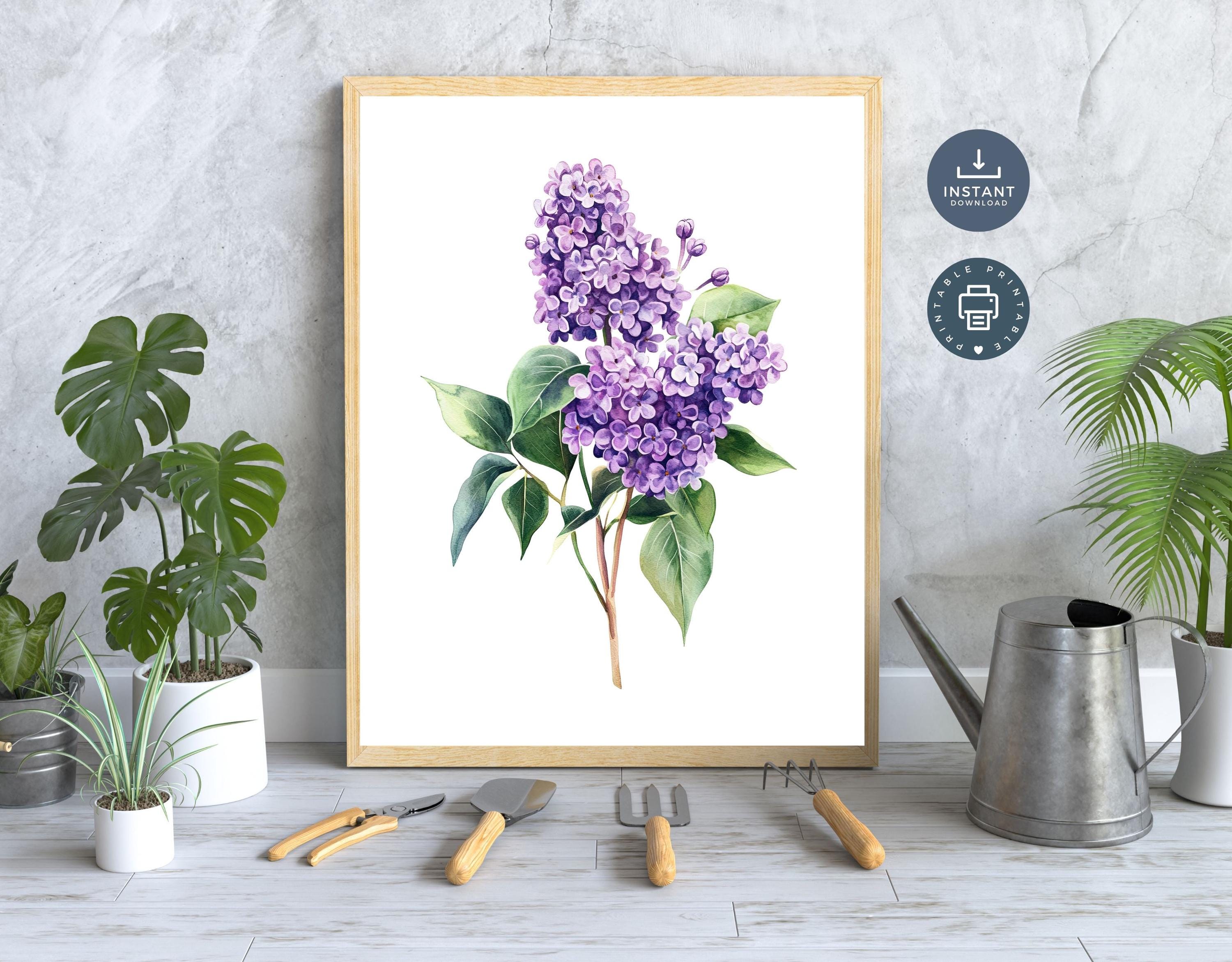 Purple Lilacs Watercolor Print Set: Floral Wall Art (digital Download ...