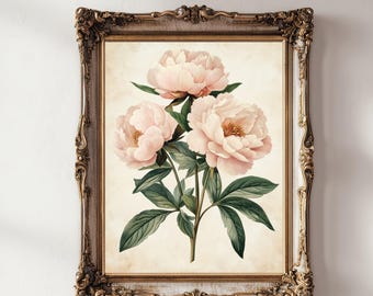 Pink Peonies Wall Art Print, Watercolor Vintage Floral Wall Decor, Printable Digital Download