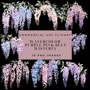 Wisteria Floral Flowers Clip Art Bundle Pack, Przezroczysty PNG, Użytek komercyjny, Niebieski Różowy Fioletowy, Akwarela, Kwiaty wiszące, Sublimacja