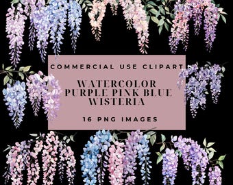Watercolor Wisteria Clipart Bundle, Pink, Blue, Purple Flowers (PNG)