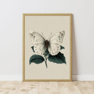 Vintage Schmetterling Botanischer Druck: Antike Insekt Wand Kunst (Digitaler Download)