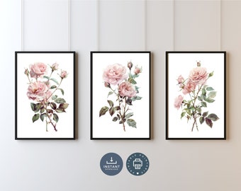 Blush Pink Rose Watercolor Print Set: Vintage Floral Wall Art (Digital Download)