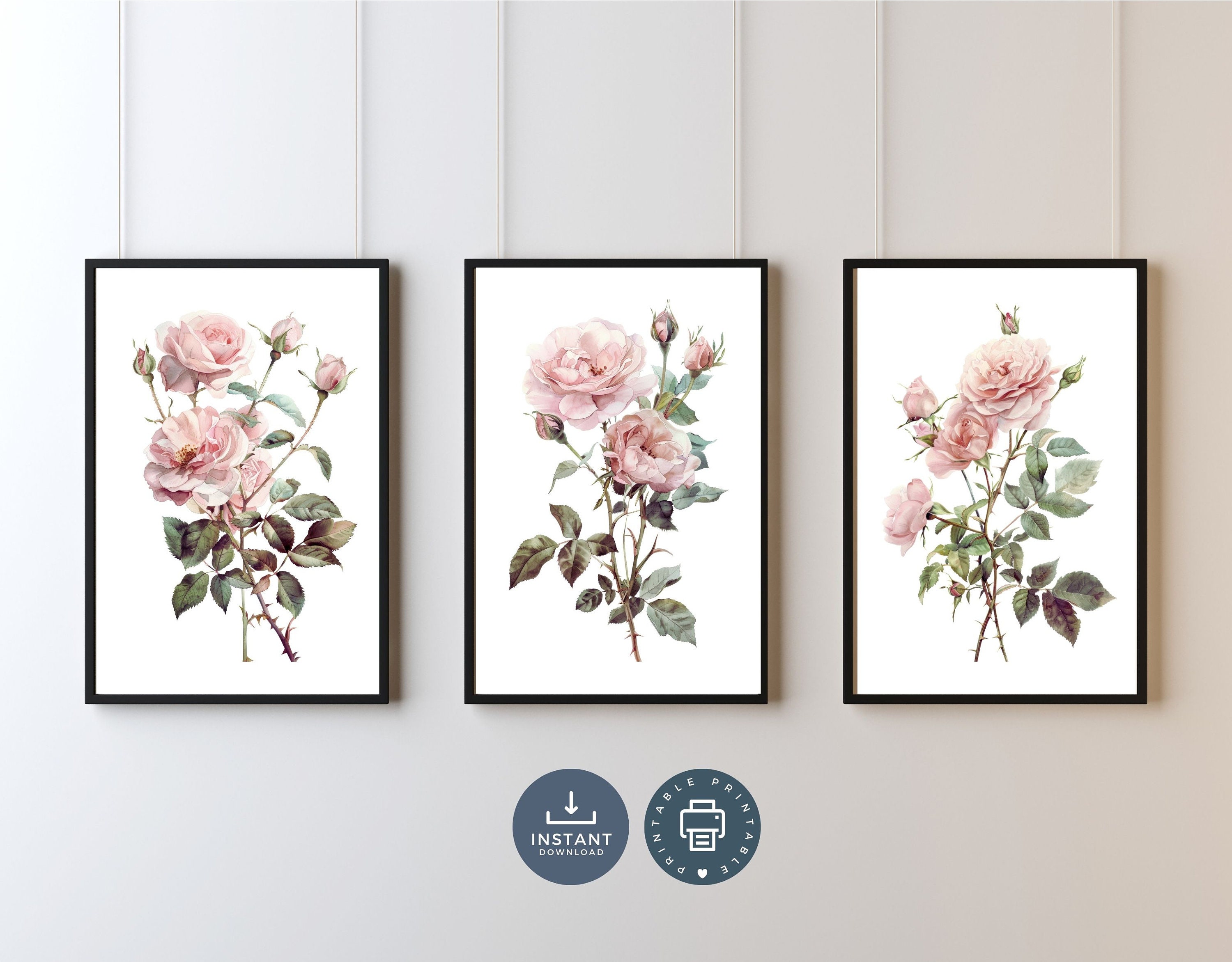 Blush Pink Rose Watercolor Print Set: Vintage Floral Wall Art (digital ...