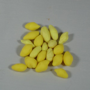 Miniature Dollhouse Loose Lemons