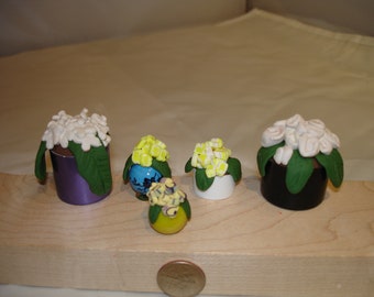 Mini White and Yellow Flower Assortment